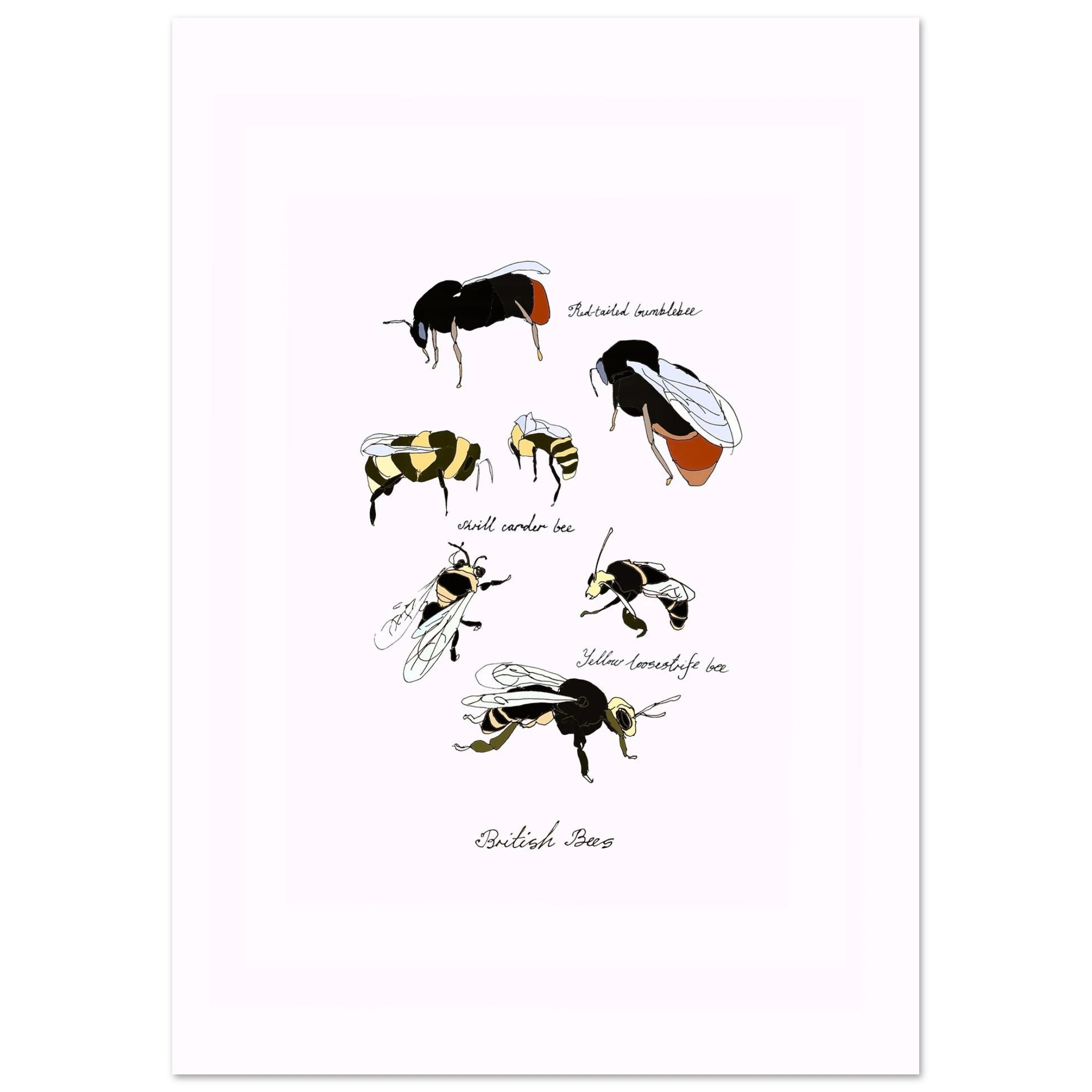 1fac84c4-3efa-4eaa-a48e-7b2408467bfa