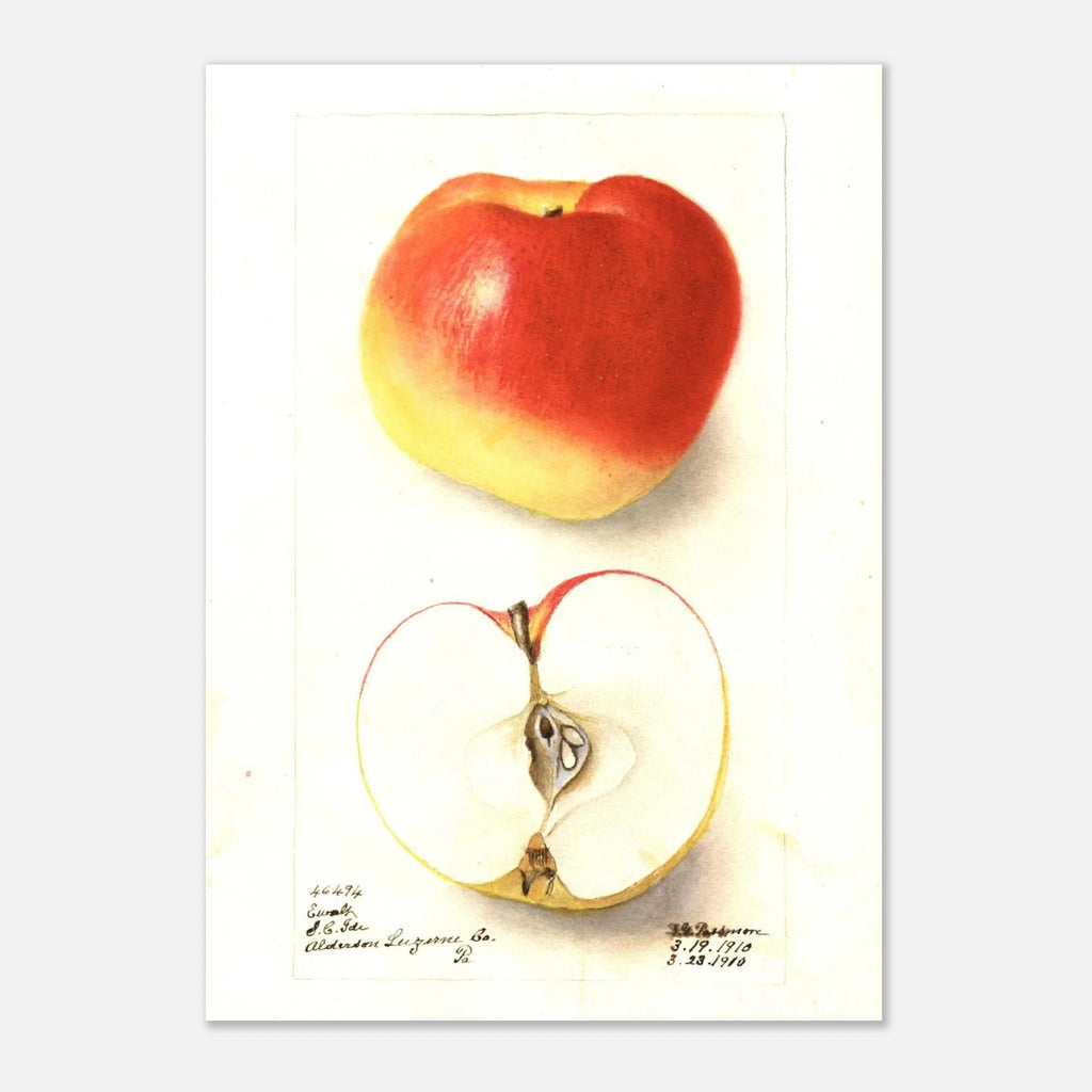 45ec89de-47d5-4679-9bed-bfe81dd7c36b