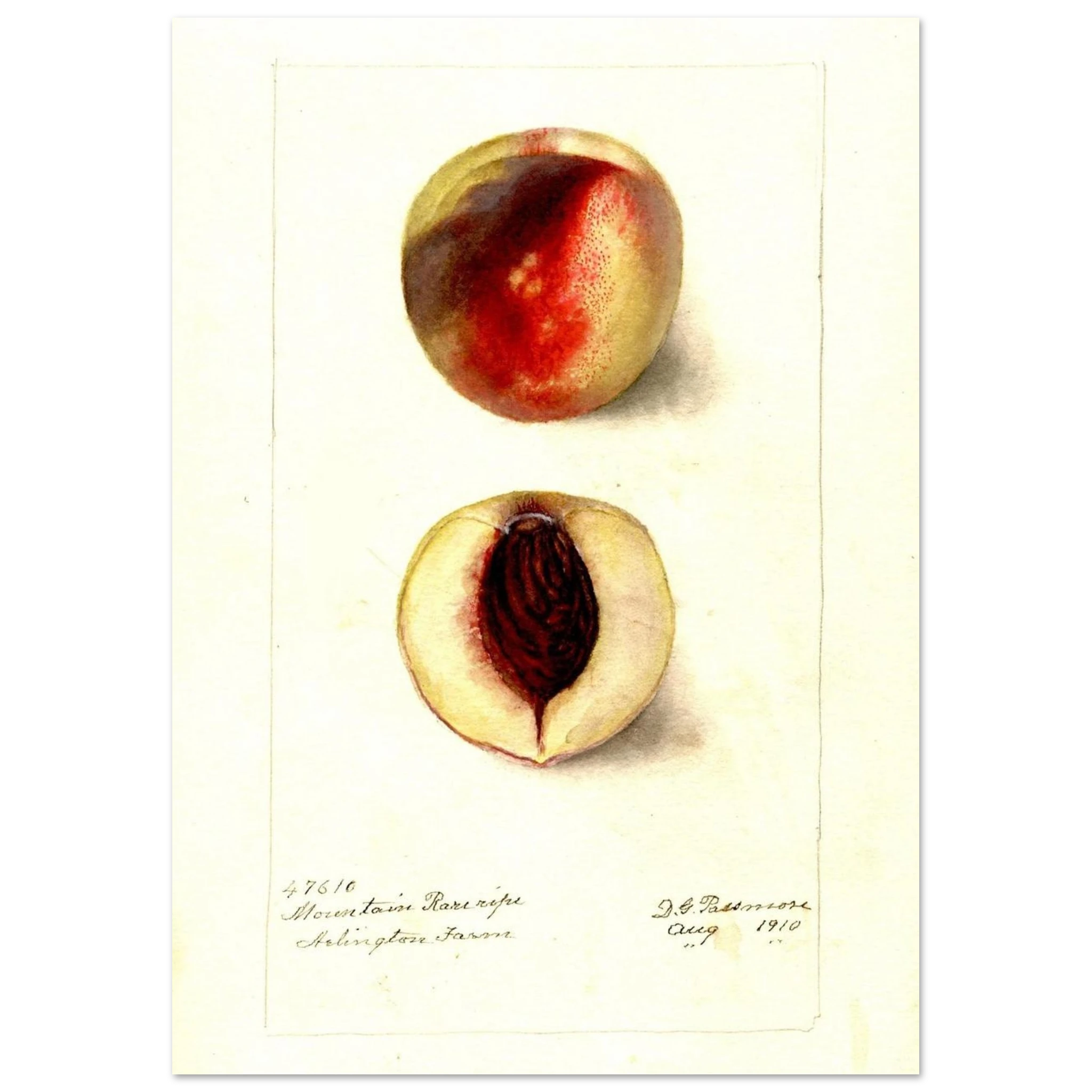 47529b19-ccff-40da-889b-61b55ee588b6