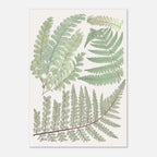 498b57d6-fe7c-44fe-8d19-902d977ba642