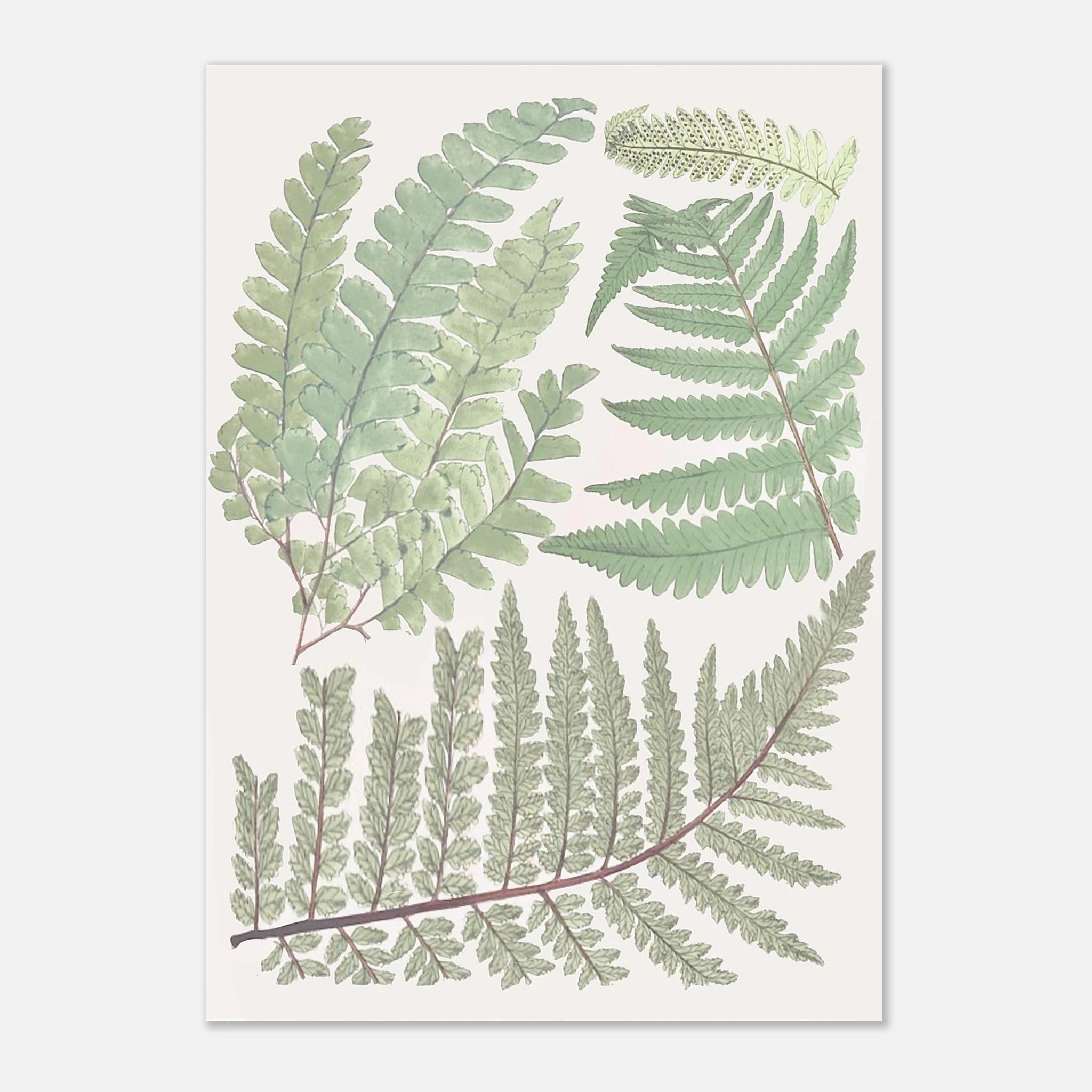 498b57d6-fe7c-44fe-8d19-902d977ba642