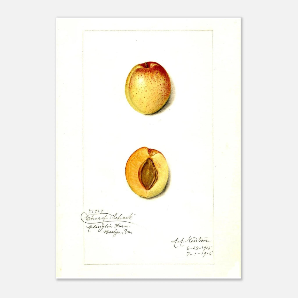 4b0339fd-7b92-415f-8a3a-cd2b9b19d01d