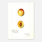 4b0339fd-7b92-415f-8a3a-cd2b9b19d01d