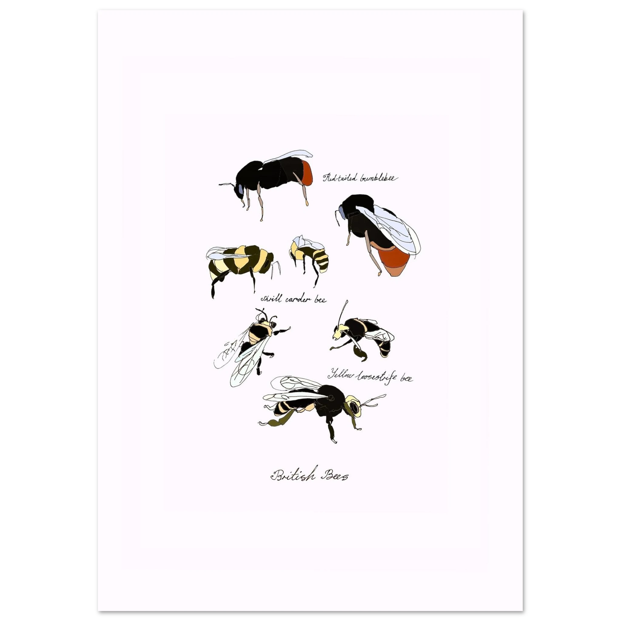 6f60b34f-457f-4518-8e9d-3f64efb72a8e