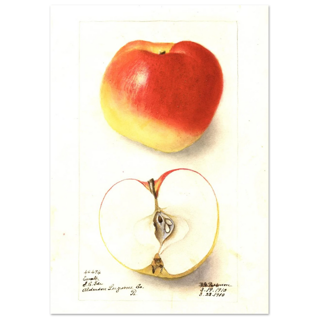 9d1d7606-165b-49b1-9828-db4081bebe8c