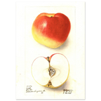 9d1d7606-165b-49b1-9828-db4081bebe8c