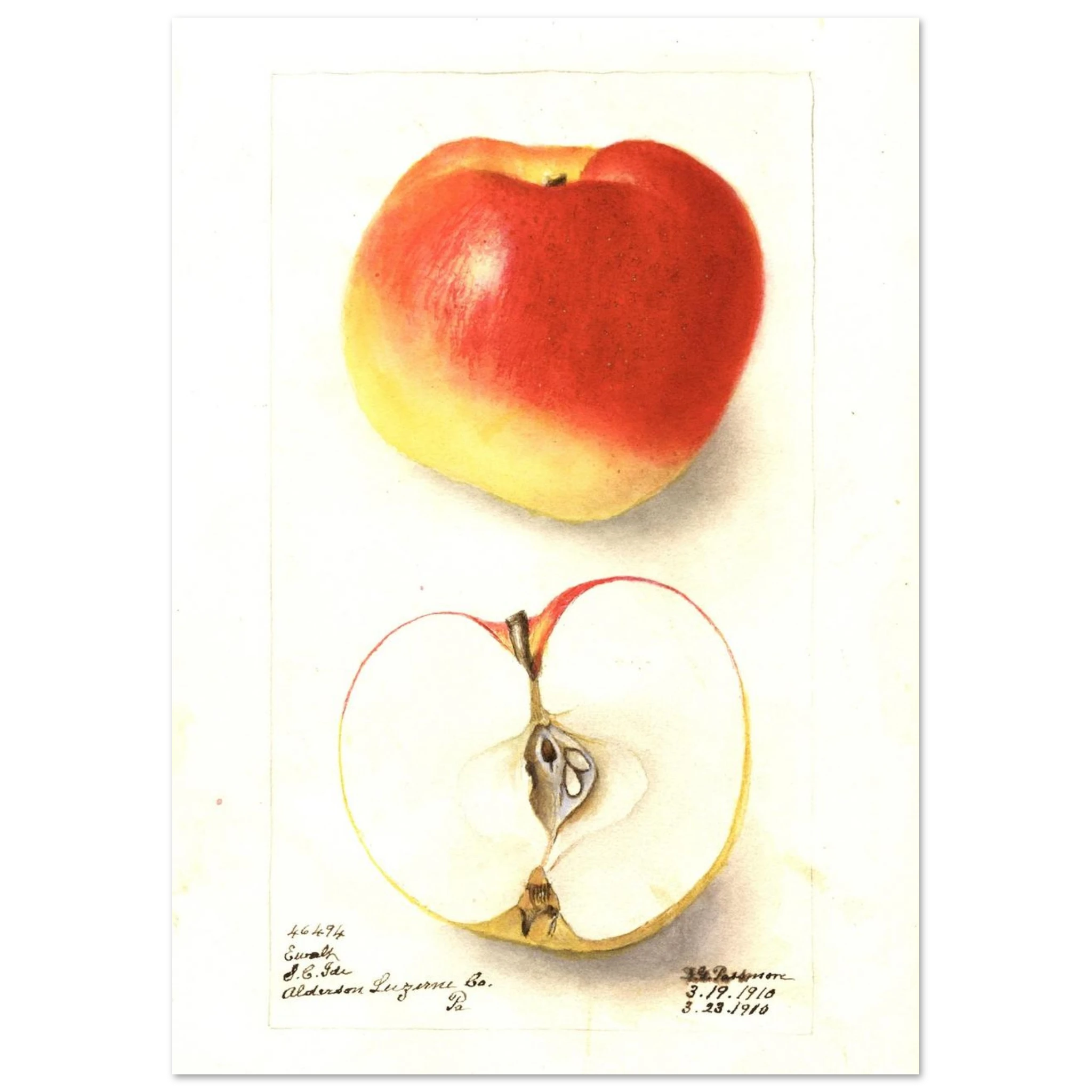 9d1d7606-165b-49b1-9828-db4081bebe8c