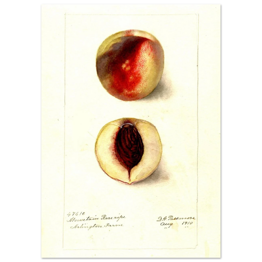 9e27ff7f-6349-4061-a60e-68c7f96777e6