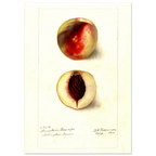 9e27ff7f-6349-4061-a60e-68c7f96777e6