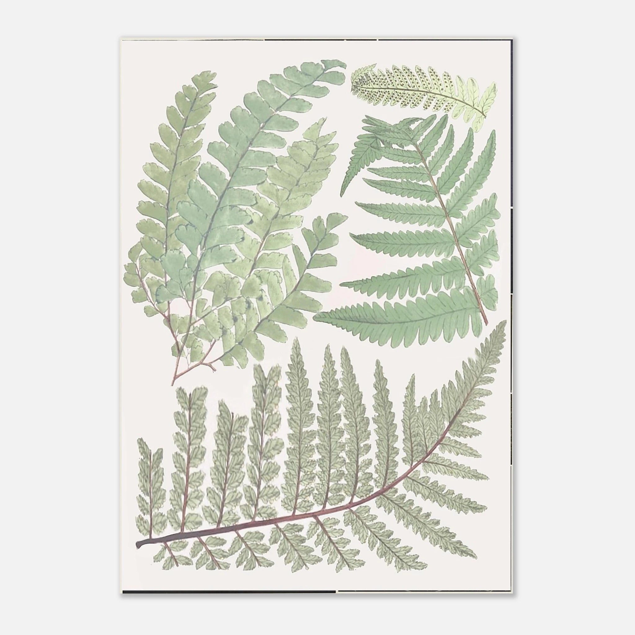 b15fb83c-b7f6-49c1-90f2-2838c1a8ac43