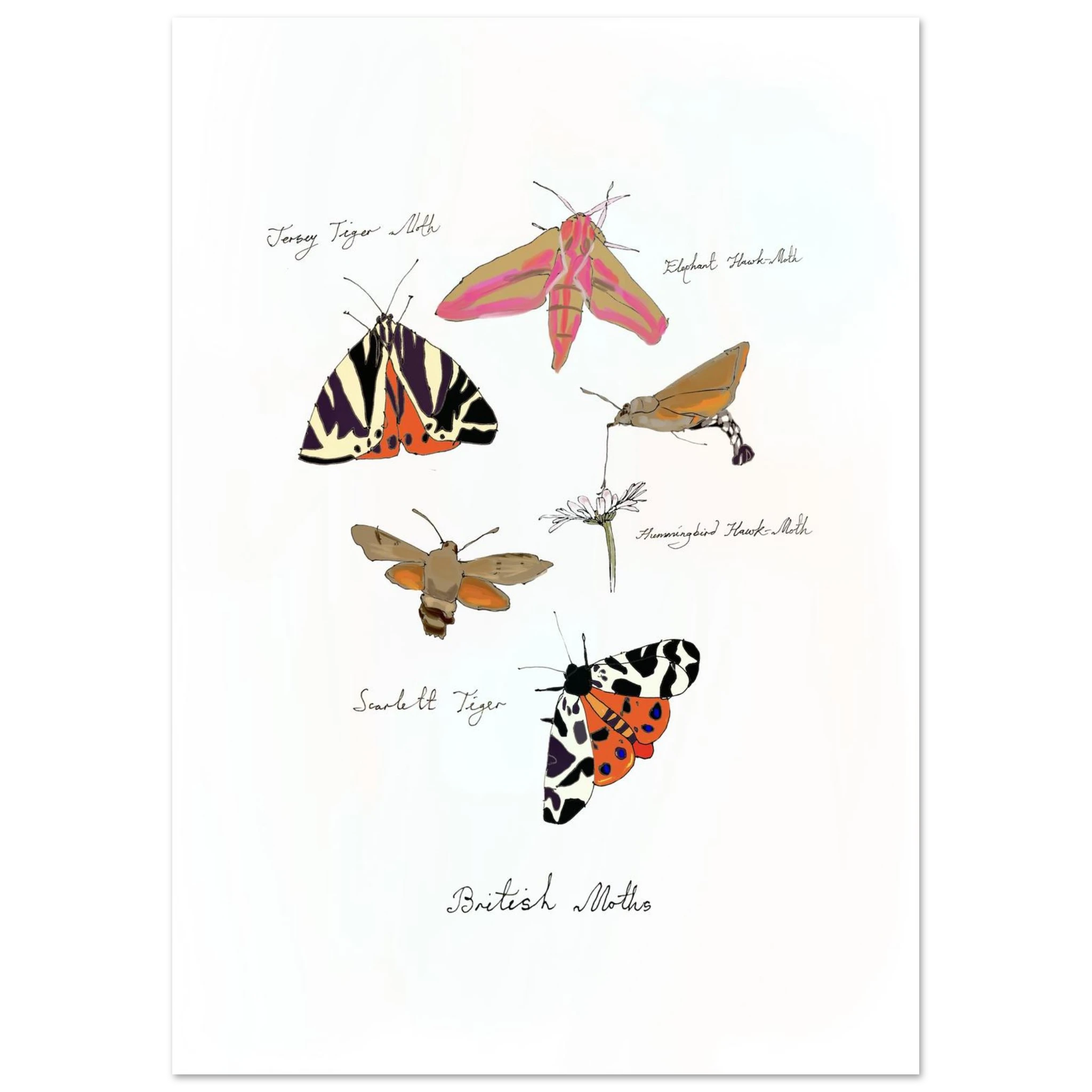 e1beebe4-f65e-468c-be93-9530c4584fc6