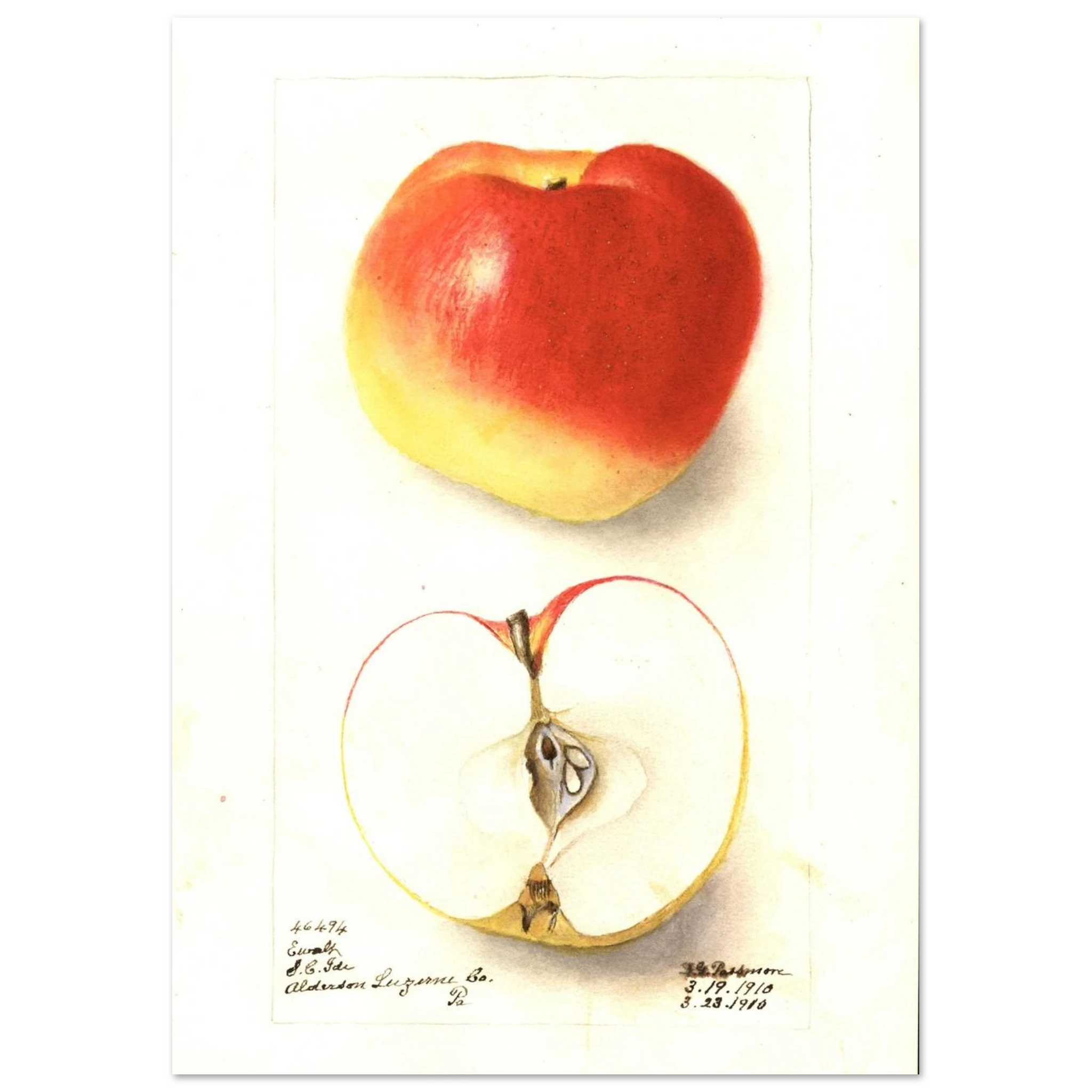 fbbe0026-9d8e-44ab-8dad-757d1f1b2acd