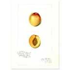 fce53343-360a-469a-a60d-d0dcec632dee