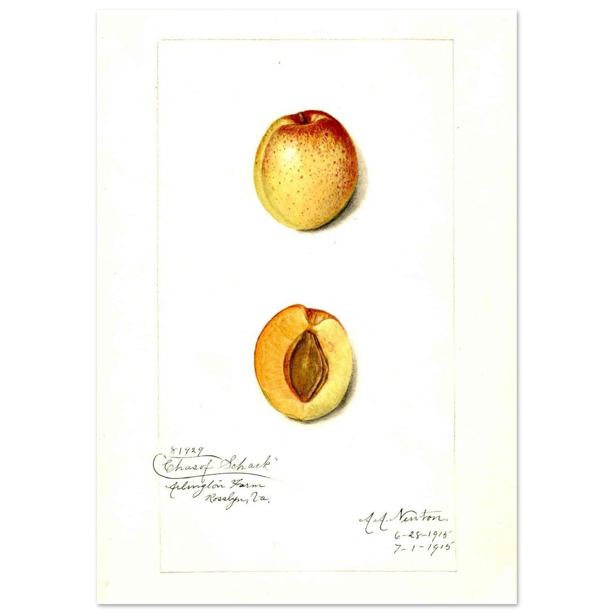 fce53343-360a-469a-a60d-d0dcec632dee